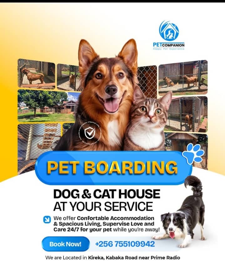 Featured Product 2
